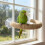 Bird Grinding Scratchers Climbing Stand for Parrots Conure 2