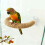 Bird Grinding Scratchers Climbing Stand for Parrots Conure 4