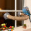 Bird Grinding Scratchers Climbing Stand for Parrots Conure 6
