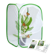 6-Pack Insekts- och Fjärilshabitatbur Terrarium - Fjärilshölje ( 15,7 X 15,7 X 23,6 Tum)