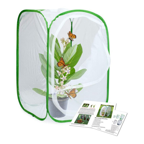 Gaiola para  de Insetos e Borboletas, Pacote com 6, Terrário, Gabinete - para Borboletas ( 15,7 X 15,7 X 23,6 Polegadas)