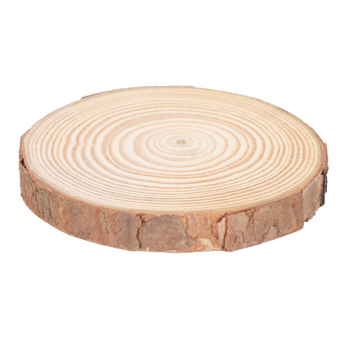 Ακατέργαστο ξύλο για χειροτεχνίες DIY Φυσικοί ρουστίκ ξύλινοι κύκλοι Διακόσμηση 2