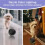 6.6cm/2.62in Large Size Pet  Bouncing , Motion Activated Dog , Suitable for Automatic Rolling  Toys. 5