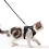 Escape Proof Nylon Cat Harness with Leash, Adjustable, Black 7