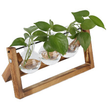 Holzständer Pflanzen-Terrarium mit 3 Glasflaschen für Zuhause und Büro Dekoration