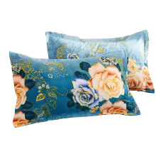 Pillowcases Set of 2,Morden Peony Flower Decorative Soft Pillow Covers for Home Bed Sofa Decor 19x30 in