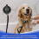 Dog Bathing Suction Cup with Tether, High Elasticity Nylon Dog Bathing Tether Leash with Powerful Suction Cup for Pet 6