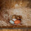 Premium Laying Hen Nesting Pads, Farm Ranch Hen Nesting Mat Square Coconut  Chicken Nest Hen Egg Nesting Mat 3