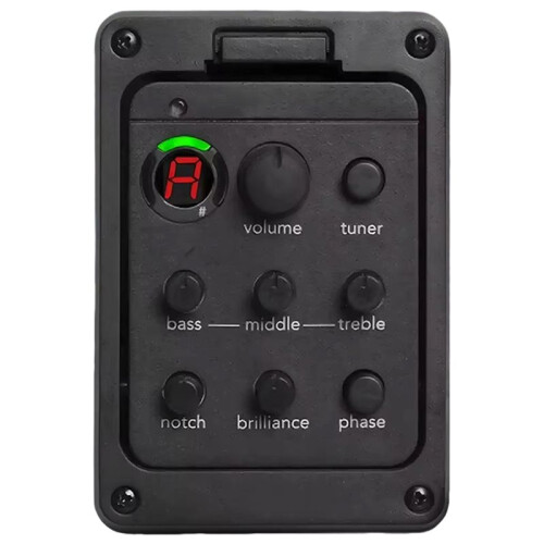 201 Akustisk Gitarrförstärkare 4-Bands EQ-Tuner