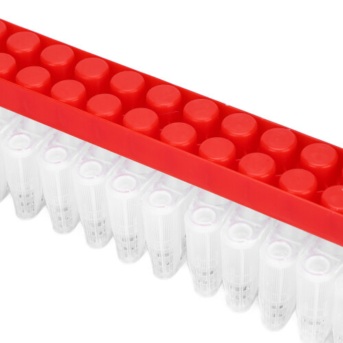Bee Queen Cage Kit with Transport Strip