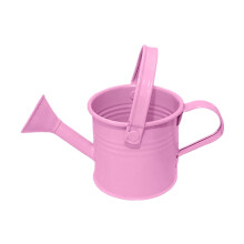 Galvanized Steel Watering Can with Detachable Shower Head for Indoor and Outdoor Care Gardening Tool