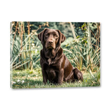 Chocolate Labrador Retriever Framed Canvas Wall Art, 12x16 Inch – Living Room, Bedroom, Office & More Decor