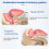 1:2 Male Pelvic Sagittal Section Testicular Prostate Bladder Rectal Urinary System Model 5