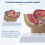 1:2 Male Pelvic Sagittal Section Testicular Prostate Bladder Rectal Urinary System Model 6