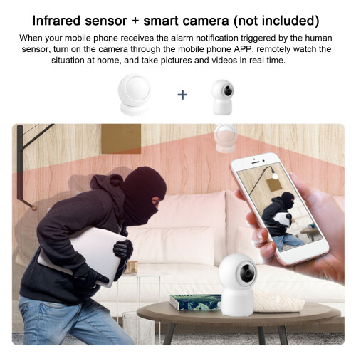 110 PIR Motion Sensor Zigbee IR Human Body Detector, 6m Detection 2