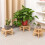 Supporto per Piante da Interno In Bambù e Legno, 2 Pezzi, Supporto per Piante da Interno, Non Richiede Viti, Supporto Stabile per Vasi da Esterno 4