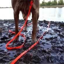 Waterdichte Hondenriem voor Alle Weersomstandigheden, PVC-Materiaal, Gemakkelijk Schoon Te Maken, voor Alle Hondengroottes, Lengtes van 5 Tot 10