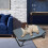 Medium Elevated Dog Bed Folding Camping Cot Grey 5
