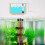 Simple and Sturdy Aquarium Incubator for Quick Shrimp Egg Hatching 7