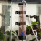 Simple and Sturdy Aquarium Incubator for Quick Shrimp Egg Hatching 10