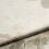 Neutral Cream Floral Wallpaper Quirky 8