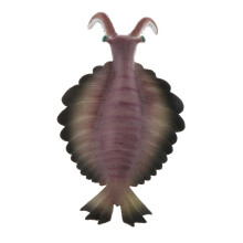 Modello di vita marina simulata, figure di animali marini per acquario, giocattoli educativi per bambini, Anomalocaris