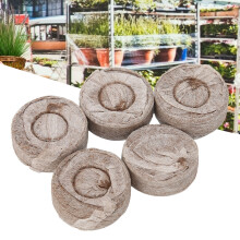 20 Stück Setzlingsblöcke 125g 30mm Naturfarbe