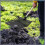 2X Manure Fork Replacement , Pitchfork , Horse Manure Rake, Plastic Fork Replacement ,B 6