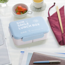 1000-ml-Bento-Lunchbox – Auslaufsicherer, mikrowellengeeigneter Behälter mit Trennwänden – 21 x 14 x 6,5 cm (8,27 x 5,51 x 2,56 Zoll) –