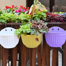 Wandpflanzgefäß, Hängeblumentopf, Gartenkorb, Wanddekoration für Zuhause und Garten