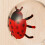 Luxurious Crystal Insect Door Pull for Home-7 spotted critter 7