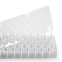 20X Spikes Repeller Katze Kunststoff Vogelabwehr Anti Taube Anti Vogel Eichhörnchen Gartenzäune Kontrolle Transparent Spikes