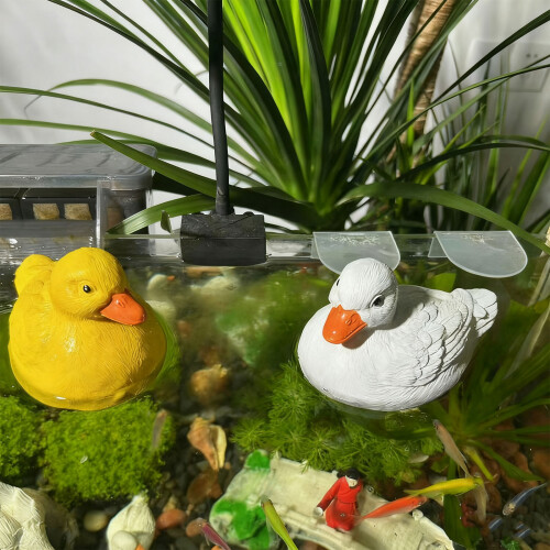 Sculpture de canard flottant authentique en résine de-Blanc 2