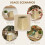 (Natural) Handwoven Grass Basket - Home Decor & Gift 2
