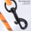(Orange) Robuste, bissfeste Hundeleine zum Training 5