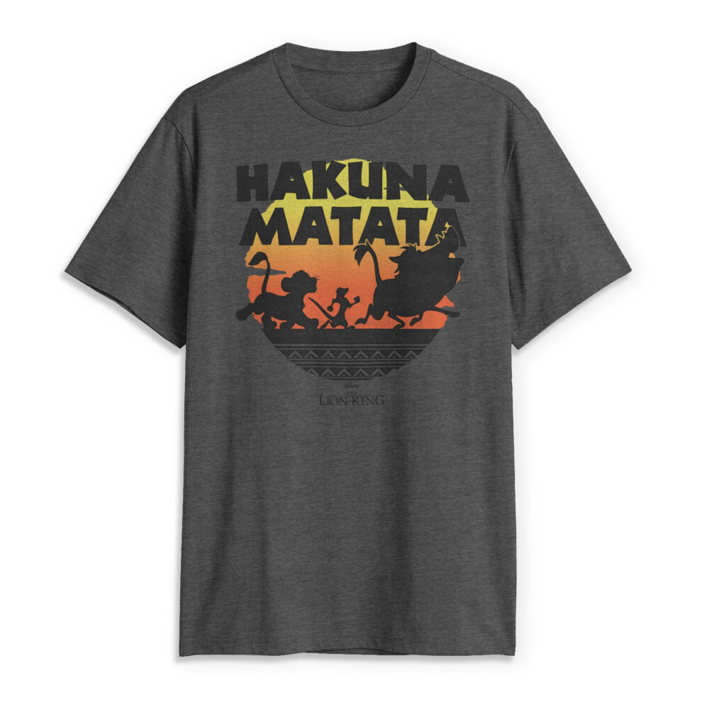Disney Men's Lion King Gang Hakuna Matata Sunset Graphic T-Shirt, Char Htr, 4X-Large