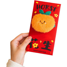 Lucky Money Red Envelopes Hong Bao for Chinese New Year 2026