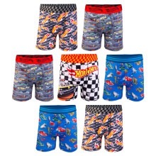 Hot Wheels Boxerbriefs og Briefs i størrelser 2/3T, 4T, 4, 6, 8 og 10