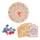 Wooden Shape Color Sorting Clock Teaching Time Activity Set for Kids 2
