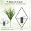 Conteneur mural pour plantes, lot de 2, avec support pour 3