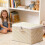Karymi Lockable Storage Box with Drawers Foldable 3-Drawer 1