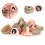 10 Sets Pink Plastic 3D Triangular Doll Eyes 20x24mm Toy Accessories 4
