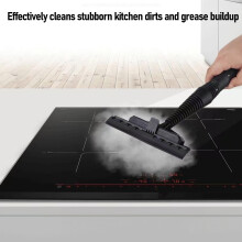 Handheld Steam Cleaner 1000W 350ml Home Use