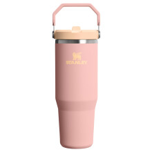 Taza STANLEY IceFlow 2.0 con tapa de sorber y asa 20 oz | Tapa de rosca y sorbete | Botella de agua resistente a fugas