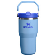 STANLEY IceFlow 2.0 Flip Straw Tumbler 20 oz | Twist Lid and Straw | Leakproof Insulated Bottle
