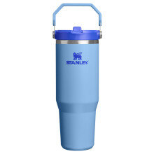 STANLEY IceFlow 2.0 Taza con Pajita y Asa 30 oz | Tapa de Enroscar y Pajita Plegable | Botella a Prueba de Fugas