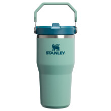 STANLEY IceFlow 2.0 Flip Straw Tumbler 20 oz | Twist Lid & Flip Straw | Leakproof Bottle | Insulated Steel