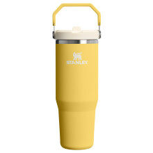 STANLEY IceFlow 2.0 Taza con Popote y Asa 30 oz | Tapa de Enroscar y Popote
