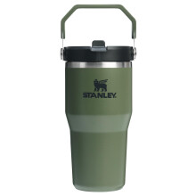 STANLEY IceFlow 2.0 Flip Straw Tumbler met Handvat 20 oz | Draai-deksel en Flip-up Rietje | Lekvrije Fles