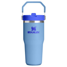 STANLEY IceFlow 2.0 Flip Straw Tumbler with Handle 14 oz | Twist On Lid and Flip Up Straw | Leakproof Water Bottle | Insulated Stainless Steel | BPA-F